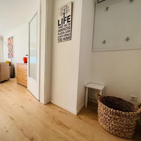 Timmare Iii Bullauge