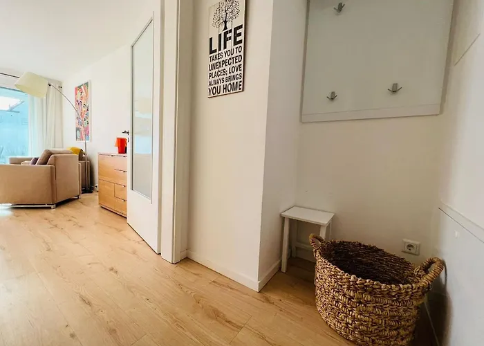 Timmare Iii Bullauge